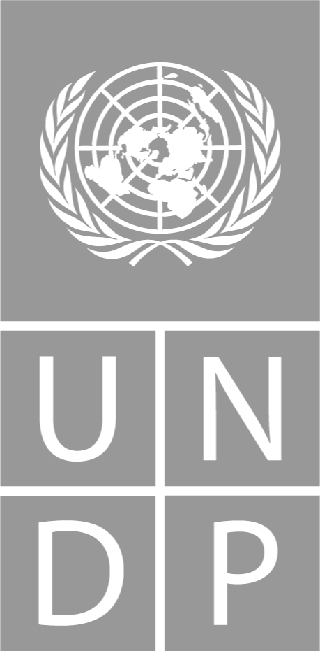 UNDP